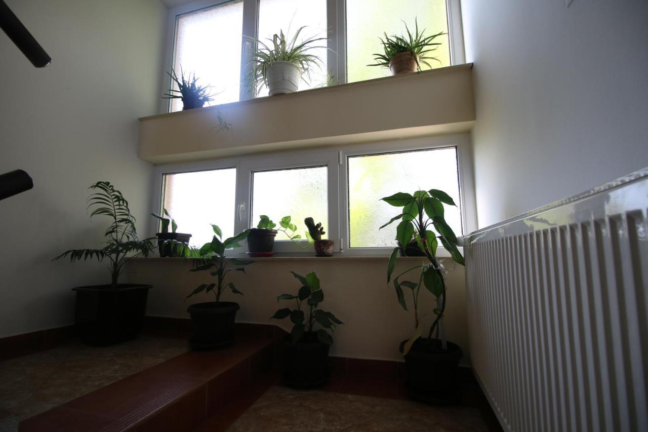 Hostel Teresianum Aleksinac Luaran gambar